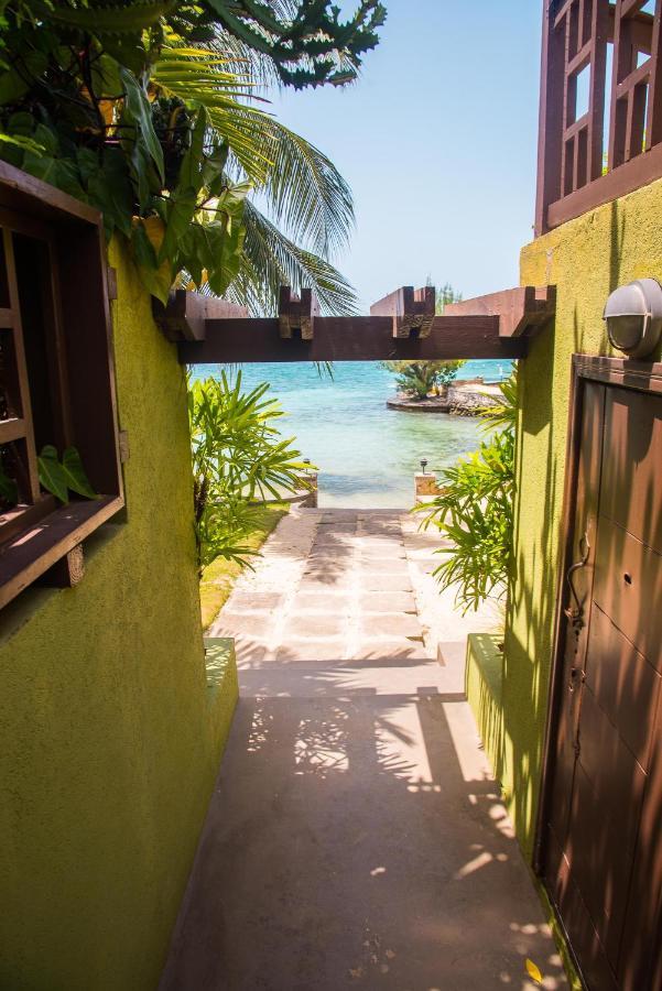 Appartamento Maribella@Crystal Cove Ocho Rios Stanmore Grove Esterno foto